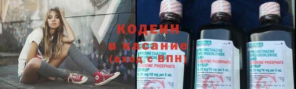 хмурый Дмитровск