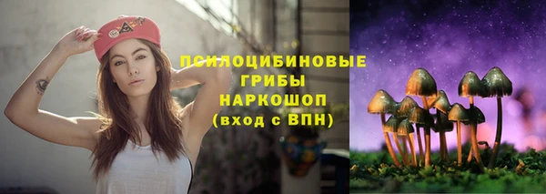 бошки Дмитриев
