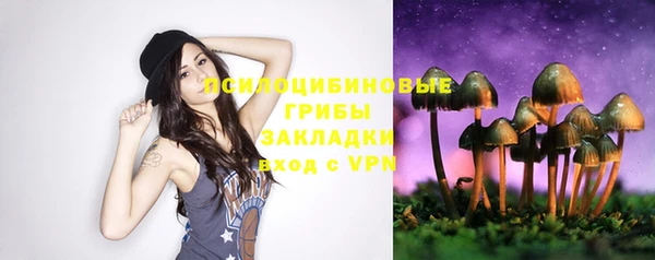 бошки Дмитриев