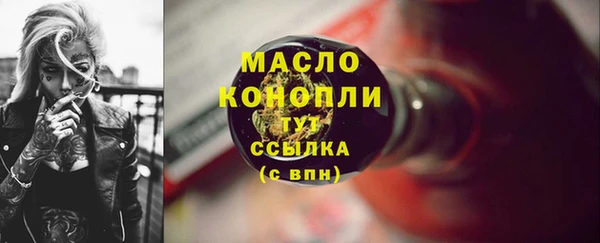 хмурый Дмитровск