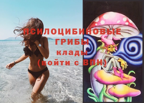 хмурый Дмитровск