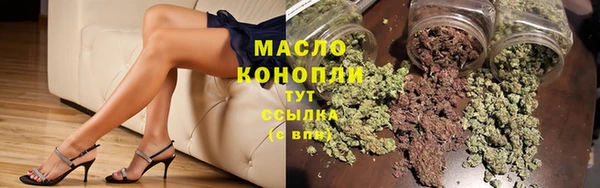 хмурый Дмитровск