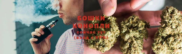бошки Дмитриев
