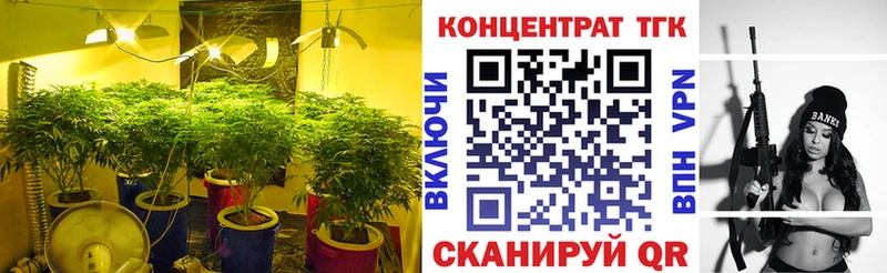 магазин  наркотиков  Пятигорск  ТГК жижа 